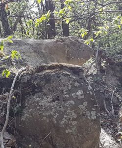 altre pietre scavate nel bosco