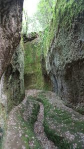 via cava