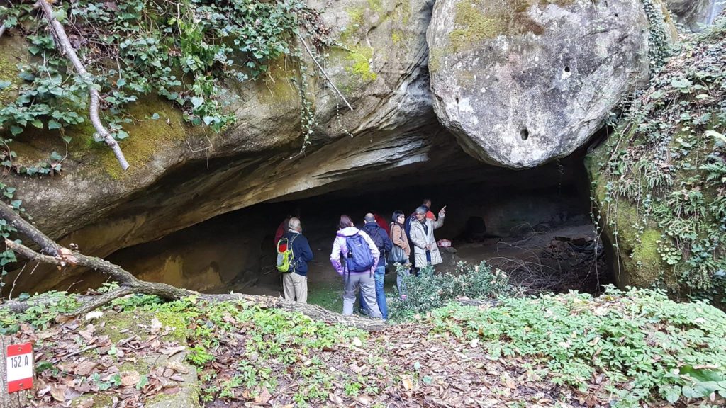 grotta tana dell'istrice