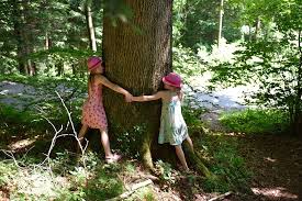 abbracciare gli alberi