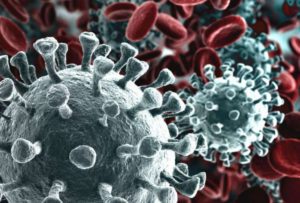 Il messaggio di un virus