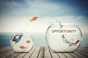 Dalla crisi all'opportunità