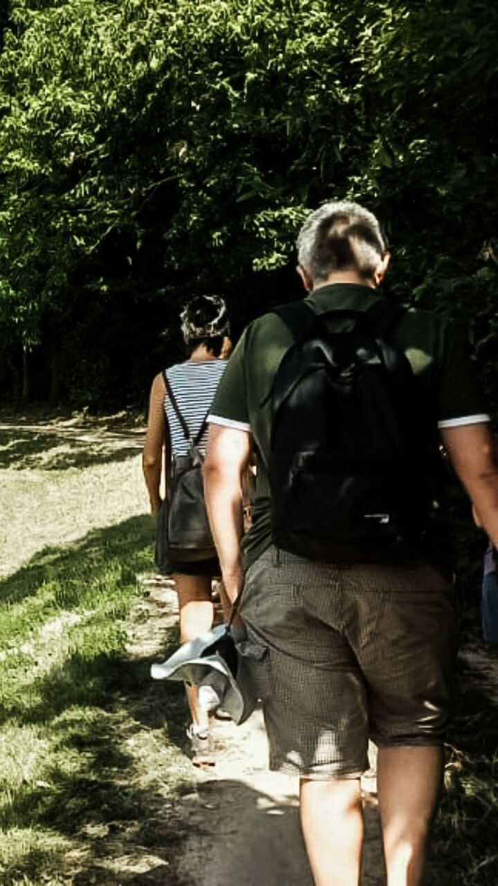 gruppo in cammino rinasci nel bosco